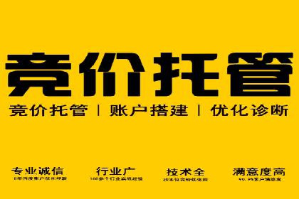 竞价排名广告投放案例